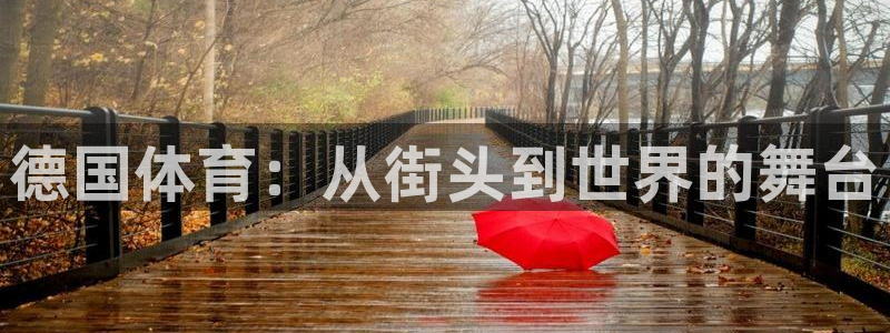 77体育官网：德国体育：从街头到世界的舞台