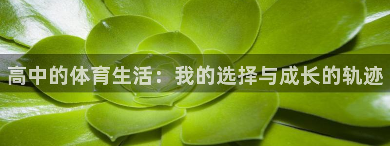 77体育app下载官网：高中的体育生活：我的选择与成长的轨迹