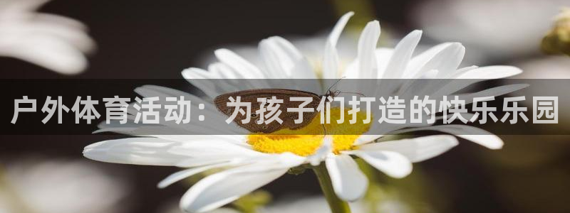 77体育：户外体育活动：为孩子们打造的快乐乐园