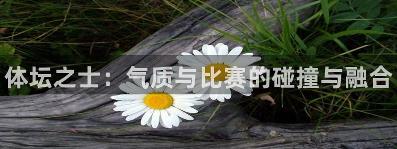皇冠277体育：体坛之士：气质与比赛的碰撞与融合