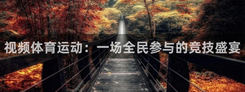 77体育app下载官网：视频体育运动：一场全民参与的竞技盛宴