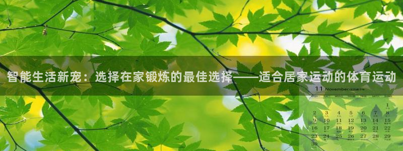 皇冠277体育：智能生活新宠：选择在家锻炼的最佳选择——适合居家运动的体育运动
