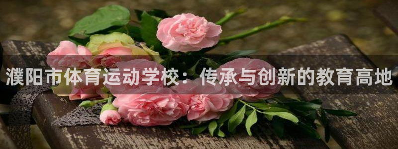 77体育：濮阳市体育运动学校：传承与创新的教育高地